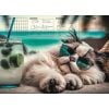 Mata na biurko z nadrukiem chillout cat