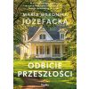 Cienie prawdy T.1 Odbicie przeszłości