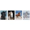 Zeszyt A5/16K 3kol linia UV Wild Horses (20szt)