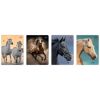 Zeszyt A5/16K kratka 70g UV Wild Horses (20szt)