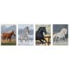 Zeszyt A5/32K 3kol linia 70g UV Wild Horses(10szt)