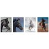 Zeszyt A5/32K kratka M 70g UV Wild Horses (10szt)