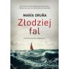 Złodziej fal