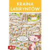 Kraina labiryntów