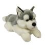 Pies Husky 61cm