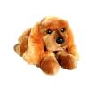 Pies Spaniel 62cm