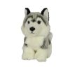 Pies Husky 19cm
