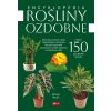 Rośliny ozdobne
