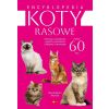 Encyklopedia kotów rasowych