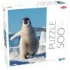 Puzzle 500 Baby penguin