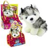Piesek Husky w torebce pluszowy