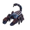 Skorpion czarny 38cm