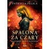 Spalona za czary. Historia Triny Papisten