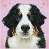 Diamond Dotz Adults - Say Hello to Zuzu