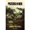 Przedsionek