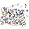 Układanka Garden Birds Ptaki ogrodowe polne Maxi