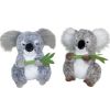 Koala 45cm MIX