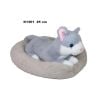 Kot w legowisku 25cm