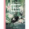 Muminki i duża powódź