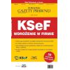 KSeF wdrożenie w firmie Podatki 6/2025