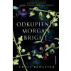 Odkupienie Morgan Bright