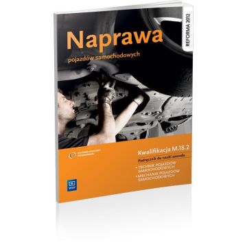 Naprawa pojazdów samochodowych WSiP