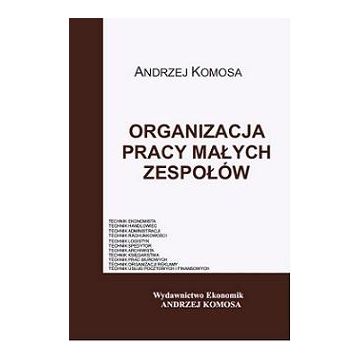 Organizacja pracy małych zespołów EKONOMIK