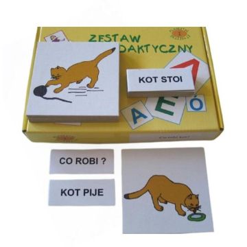 Zestaw dydaktyczny. Co robi kot?