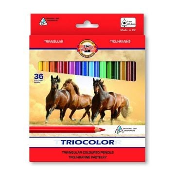 Kredki Triocolor 36 kolorów