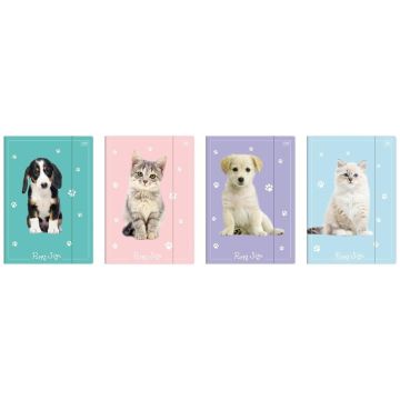 Teczka z gumką A4+ LUX UV Puppy Sign (10szt)