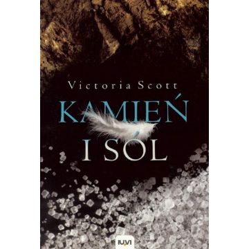 Kamień i sól T.2 BR