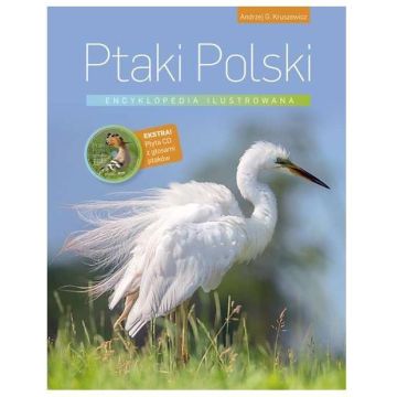 Encyklopedia ilustrowana. Ptaki Polski