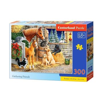 Puzzle 300 Gathering Friends CASTOR