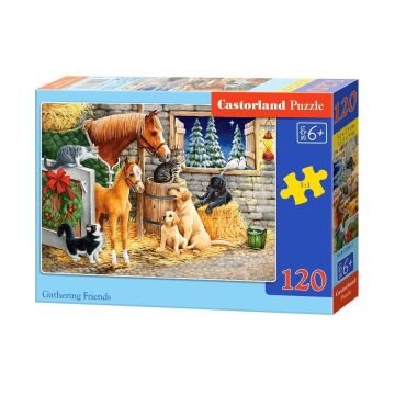 Puzzle 120 Gathering Friends CASTOR