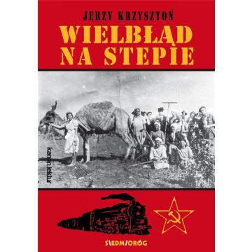 Wielbłąd na stepie