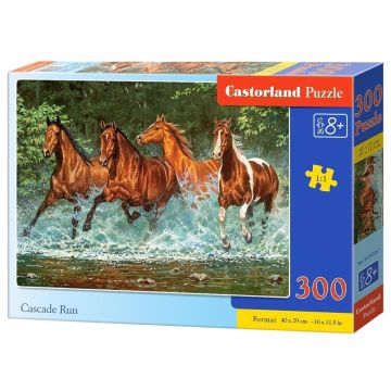 Puzzle 300 Cascade Run CASTOR