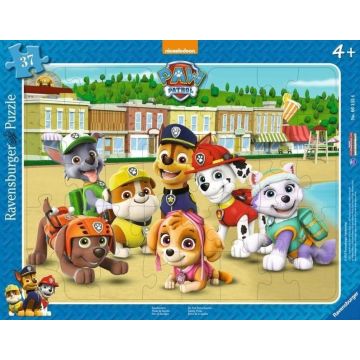 Puzzle 37 Psi Patrol - Rodzinne zdjęcie