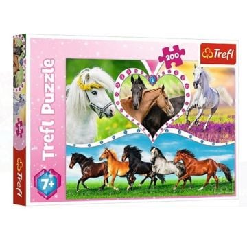 Puzzle 200 Piękne konie TREFL