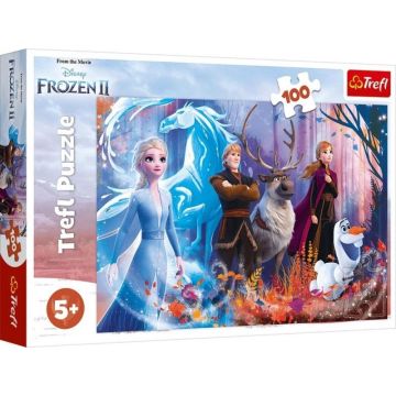 Puzzle 100 Magia Krainy Lodu TREFL