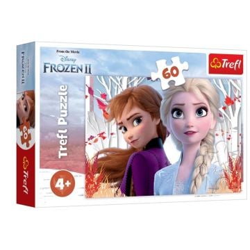 Puzzle 60 Zaczarowny świat Anny i Elsy TREFL