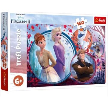Puzzle 160 Siostrzana przygoda TREFL