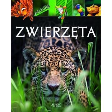 Zwierzęta