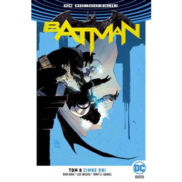Batman T.8 Zimne dni