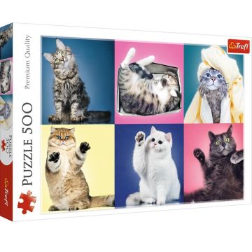 Puzzle 500 Kociaki TREFL
