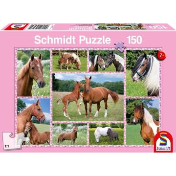 Puzzle 150 Konie G3