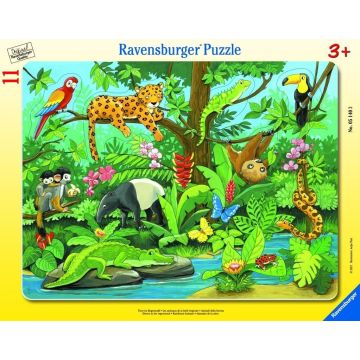 Puzzle 11 Co tu pasuje? Zwierzęta lasu deszczowego