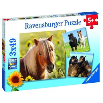 Puzzle 3x49 Konie