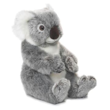 Koala 22 WWF
