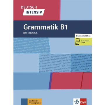 Deutsch intensiv. Grammatik B1 + online