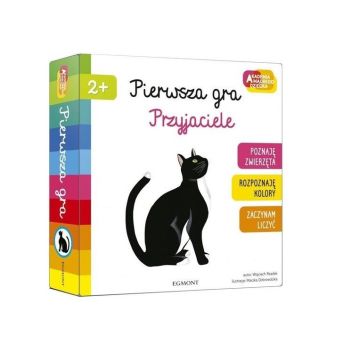 Pierwsza gra - Przyjaciele AMD
